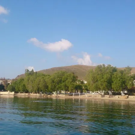 Kamp alanı Wooden House