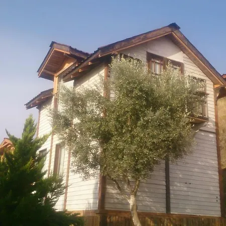 Wooden House